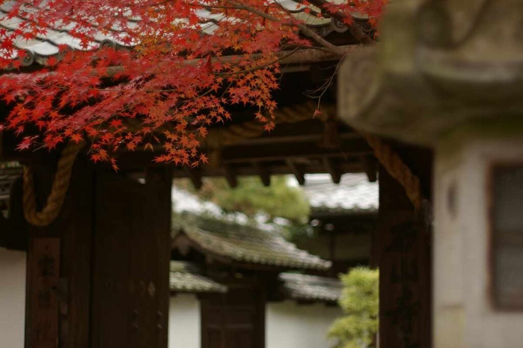 石山寺　紅葉