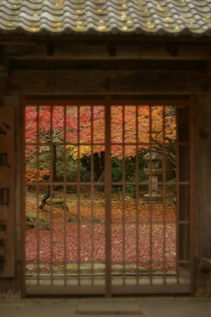 石山寺　紅葉