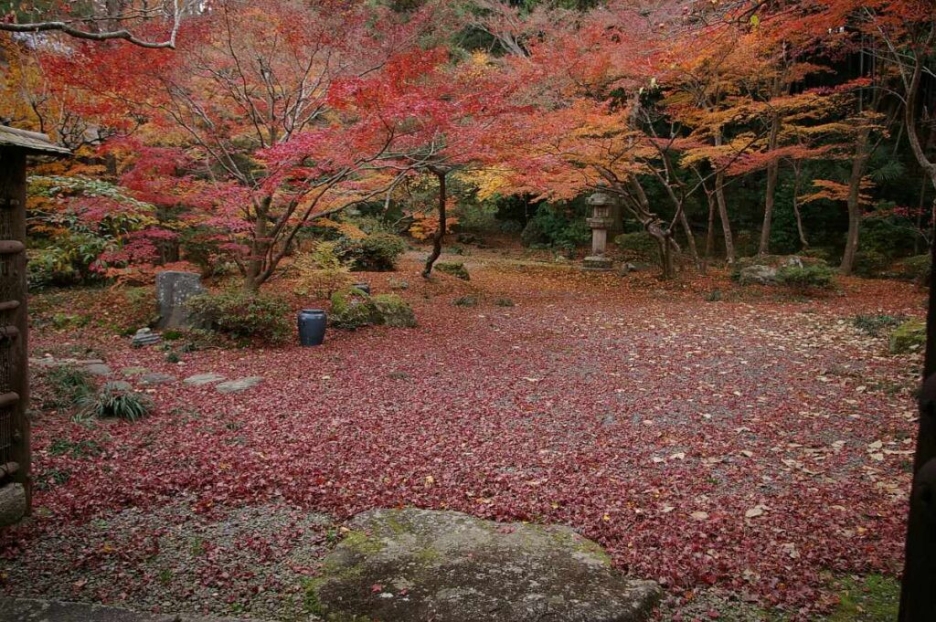 石山寺　紅葉