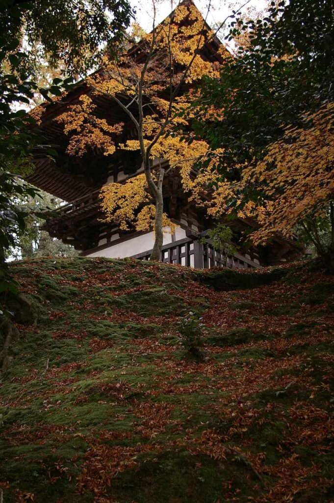 石山寺　紅葉