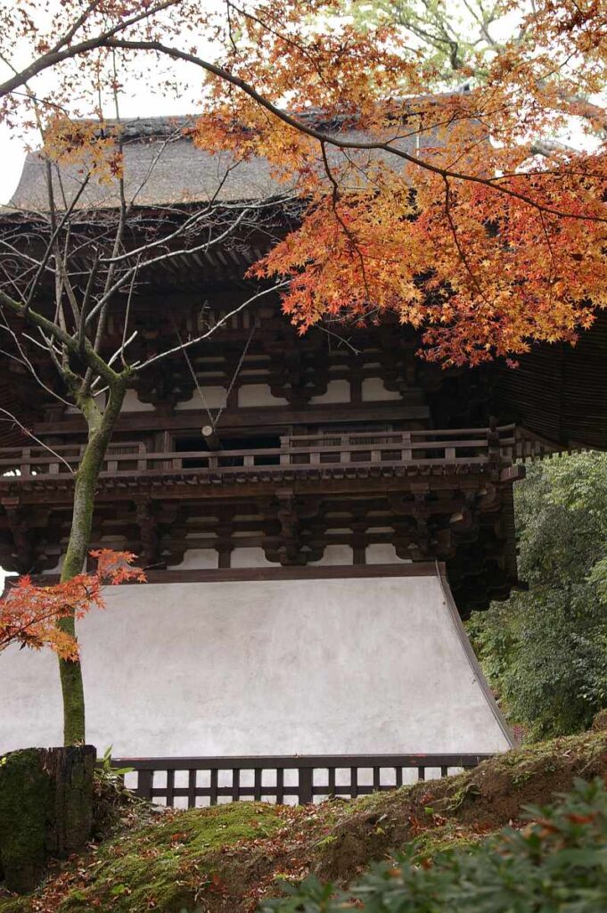 石山寺　紅葉