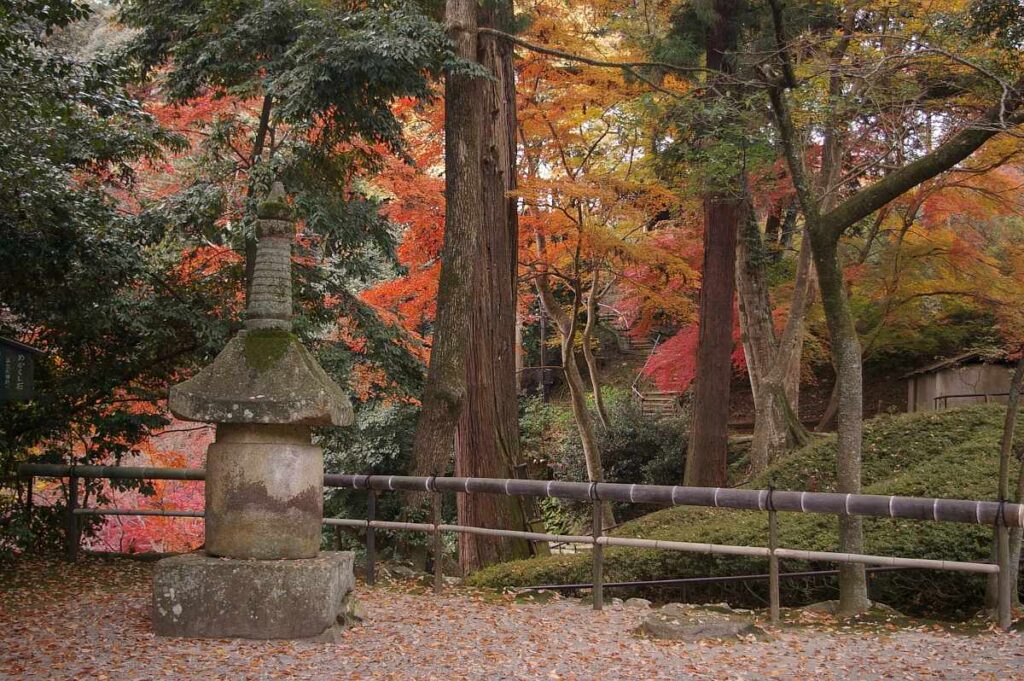 石山寺　紅葉