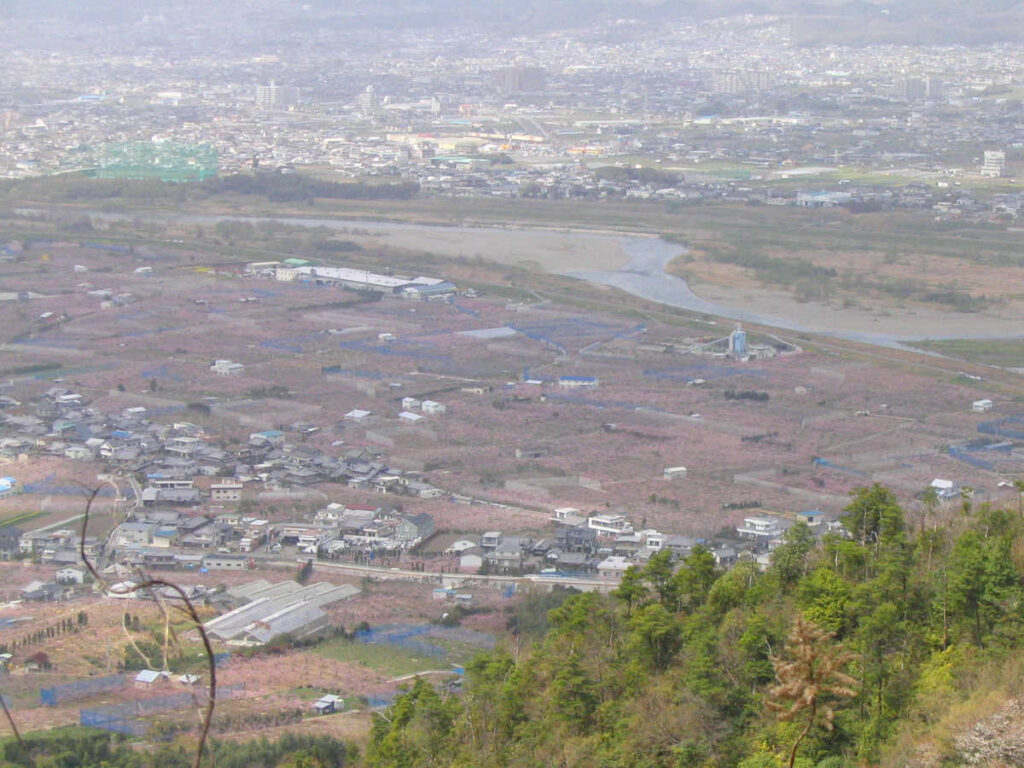 百合山・最初ヶ峰