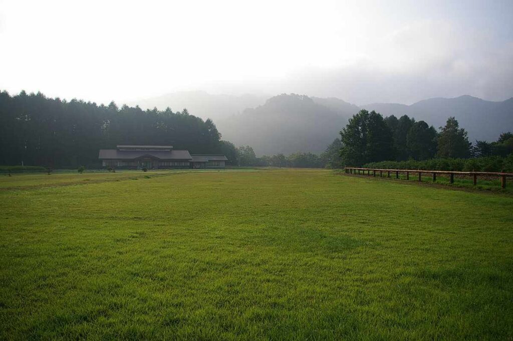 開田高原 夏