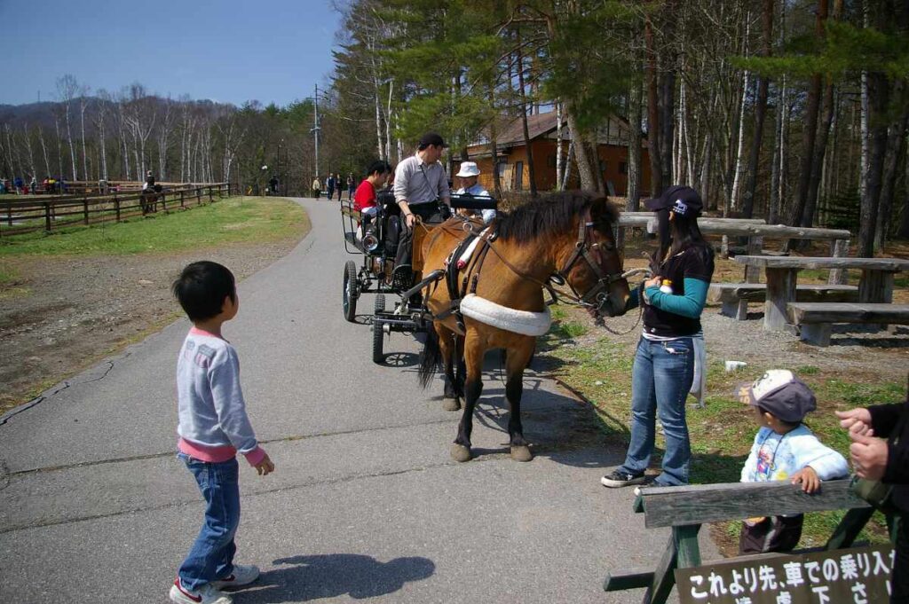 開田高原 ゴールデンウイーク