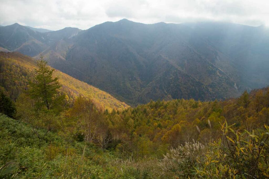 志賀高原、山田牧場周辺