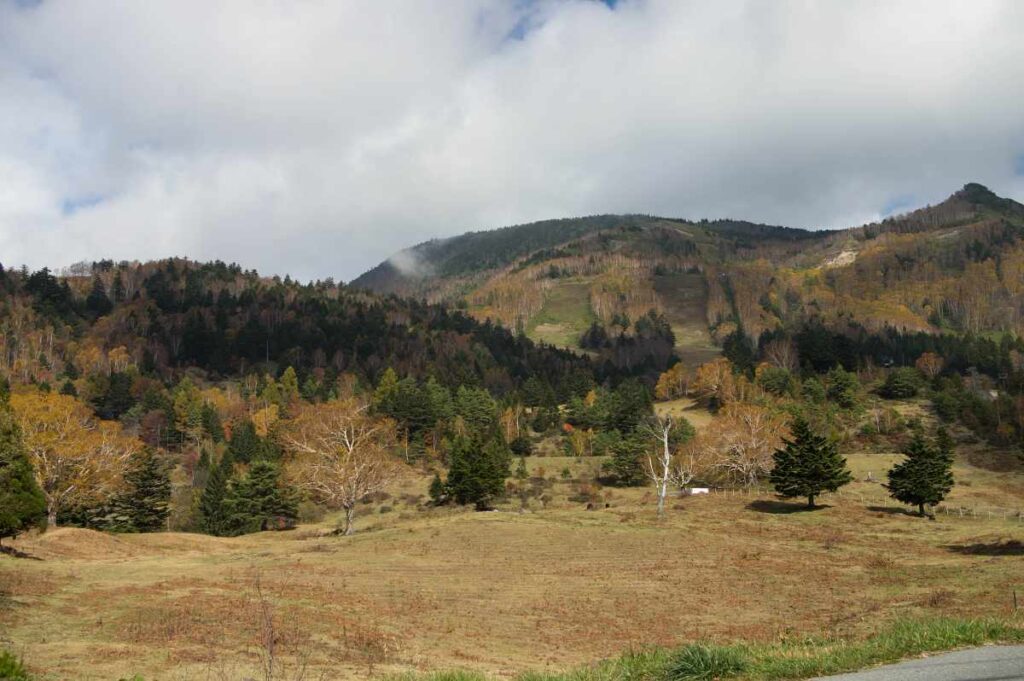 志賀高原、山田牧場周辺