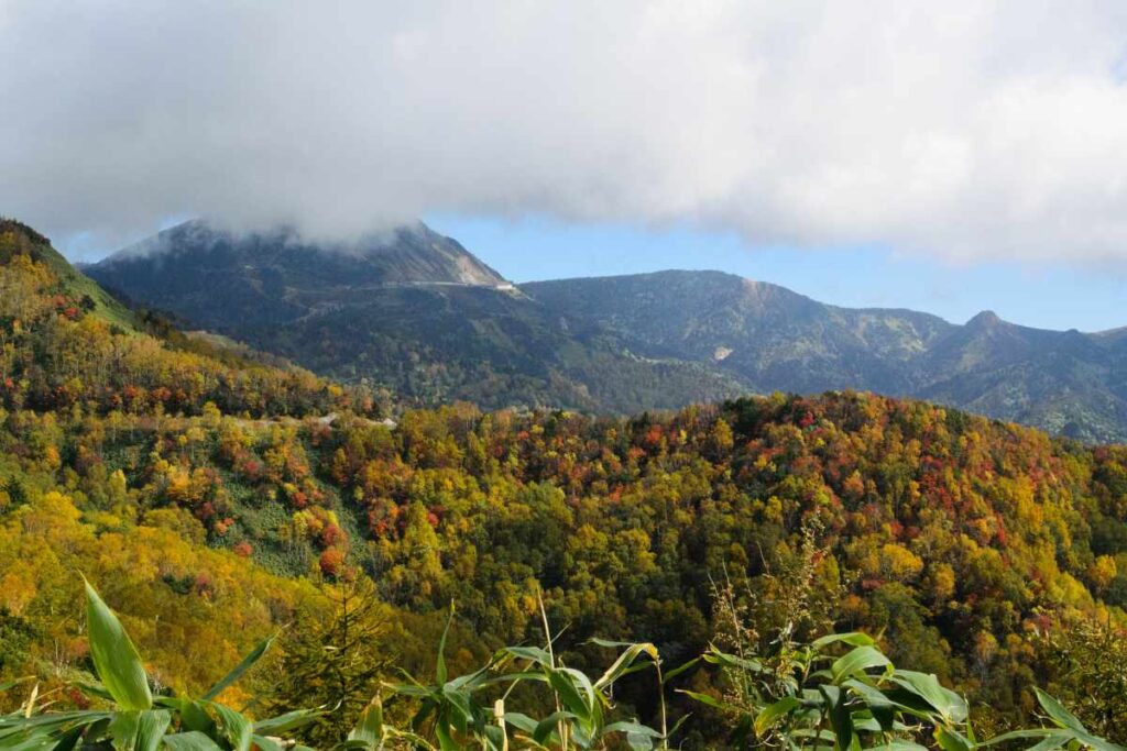 志賀高原、山田牧場周辺