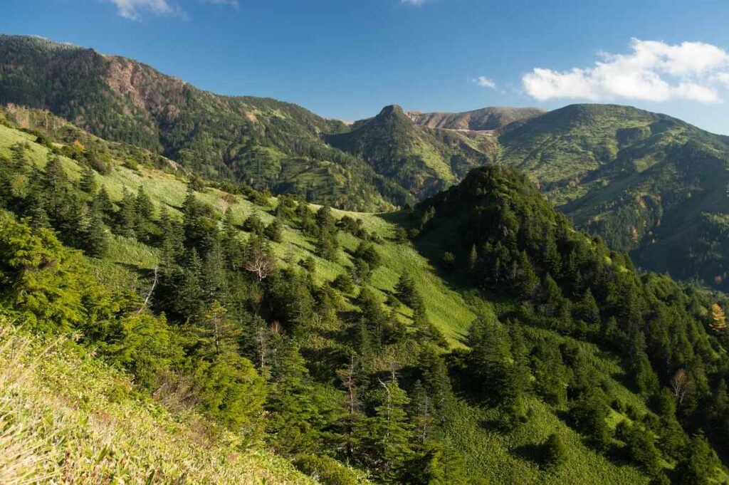 白根山、横手山周辺