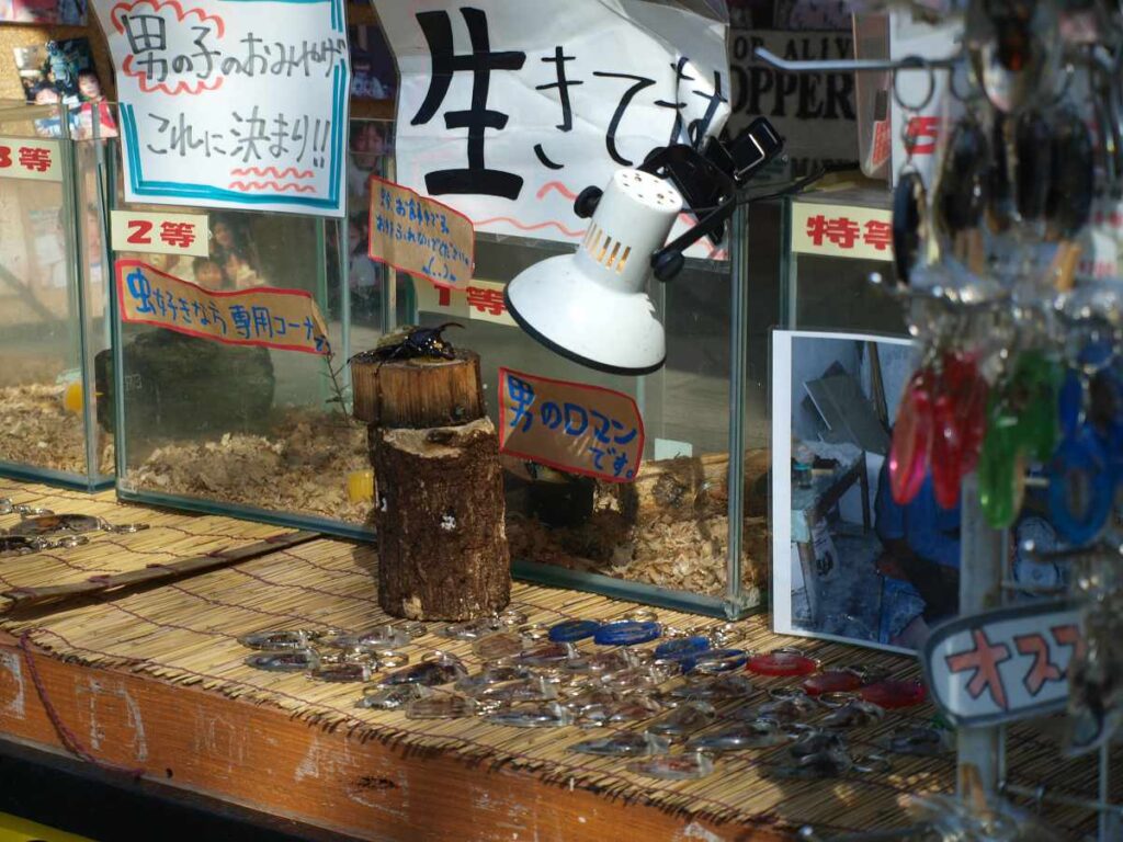 由布院(湯布院)