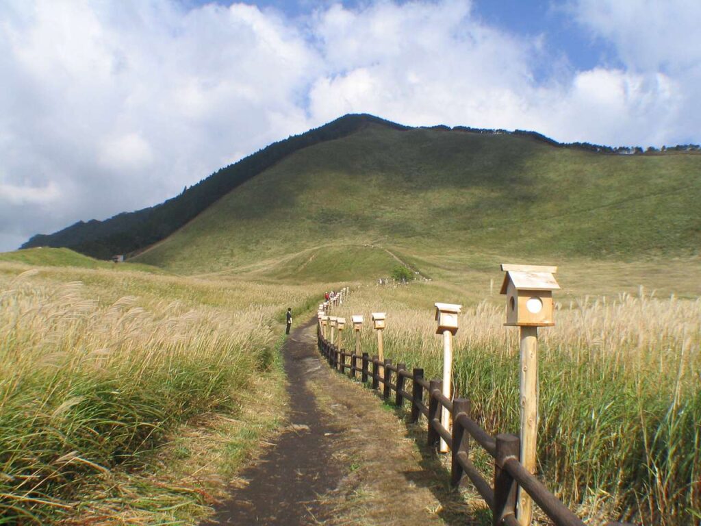 曽爾高原