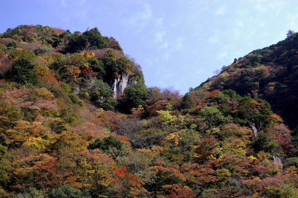 曽爾村　紅葉