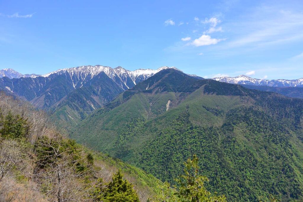 しらびそ高原