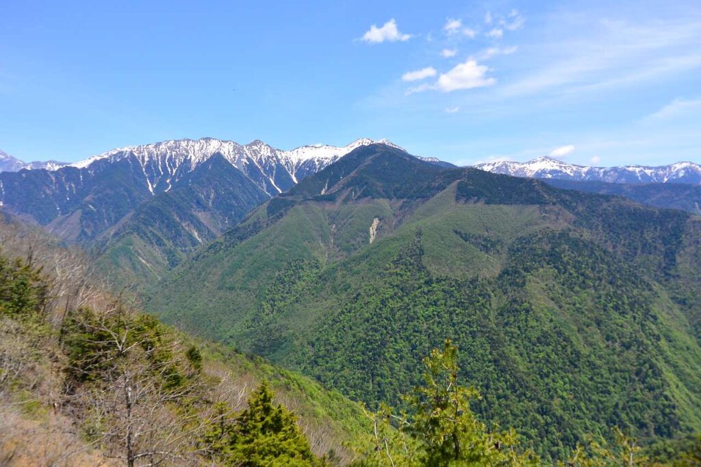 しらびそ高原