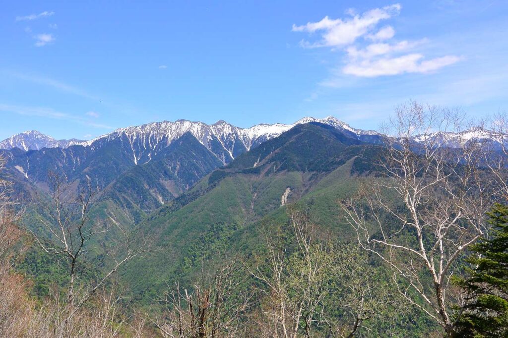 しらびそ高原