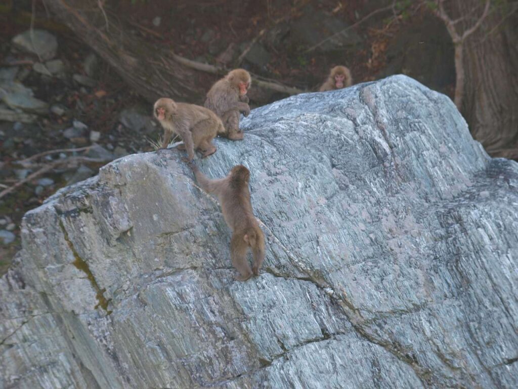 高遠町