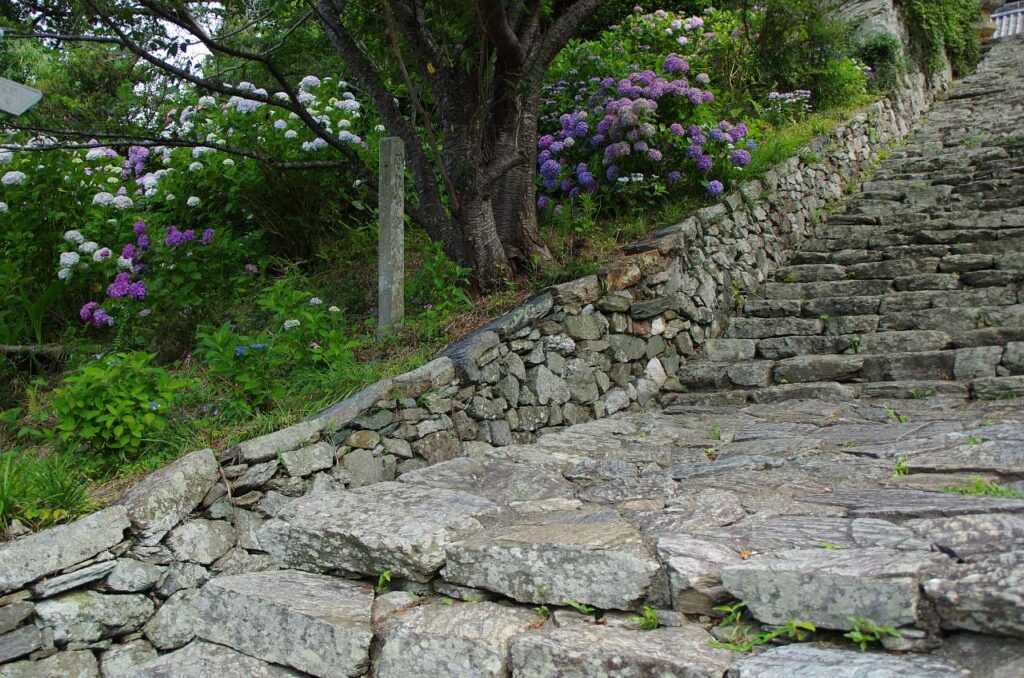 国宝　長保寺の写真画像