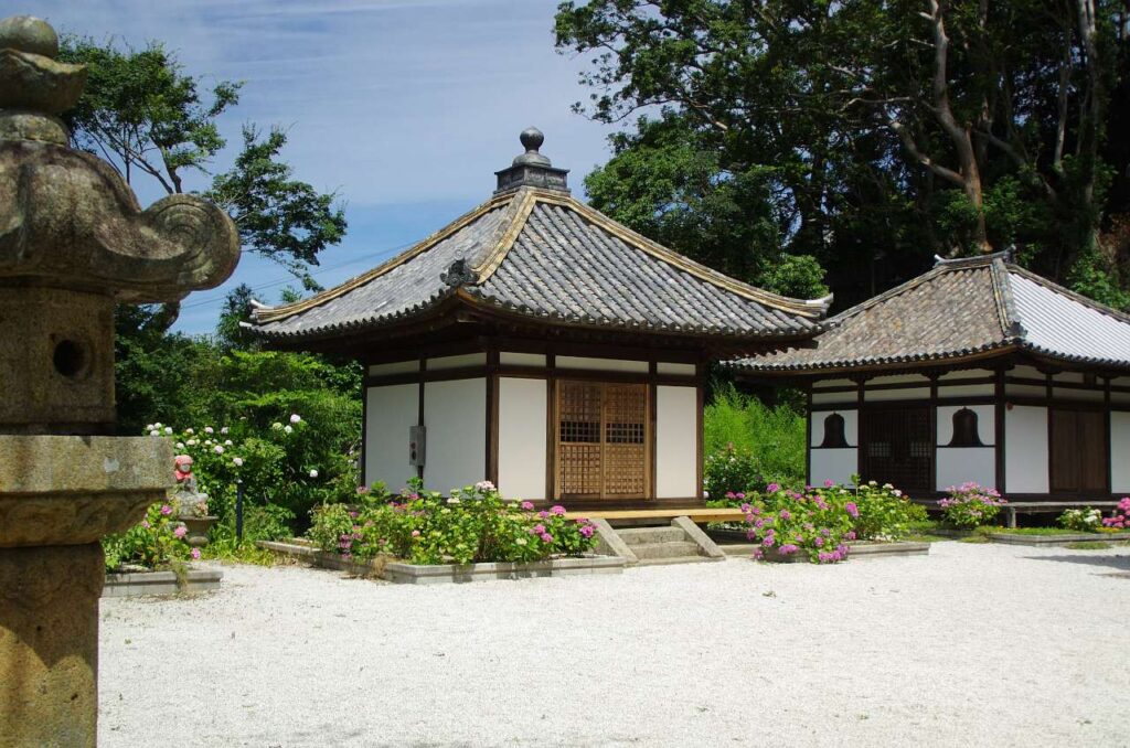 長保寺の紫陽花(アジサイ)の写真画像