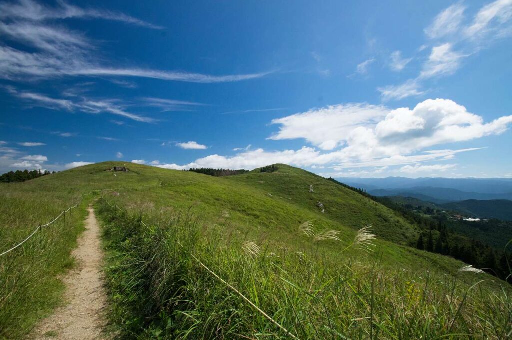 夏の終わりの生石高原の写真画像