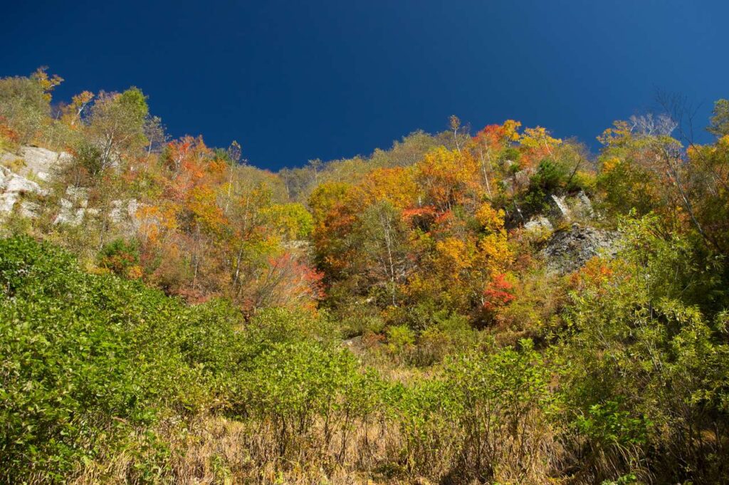 奥志賀～秋山郷の紅葉の写真画像