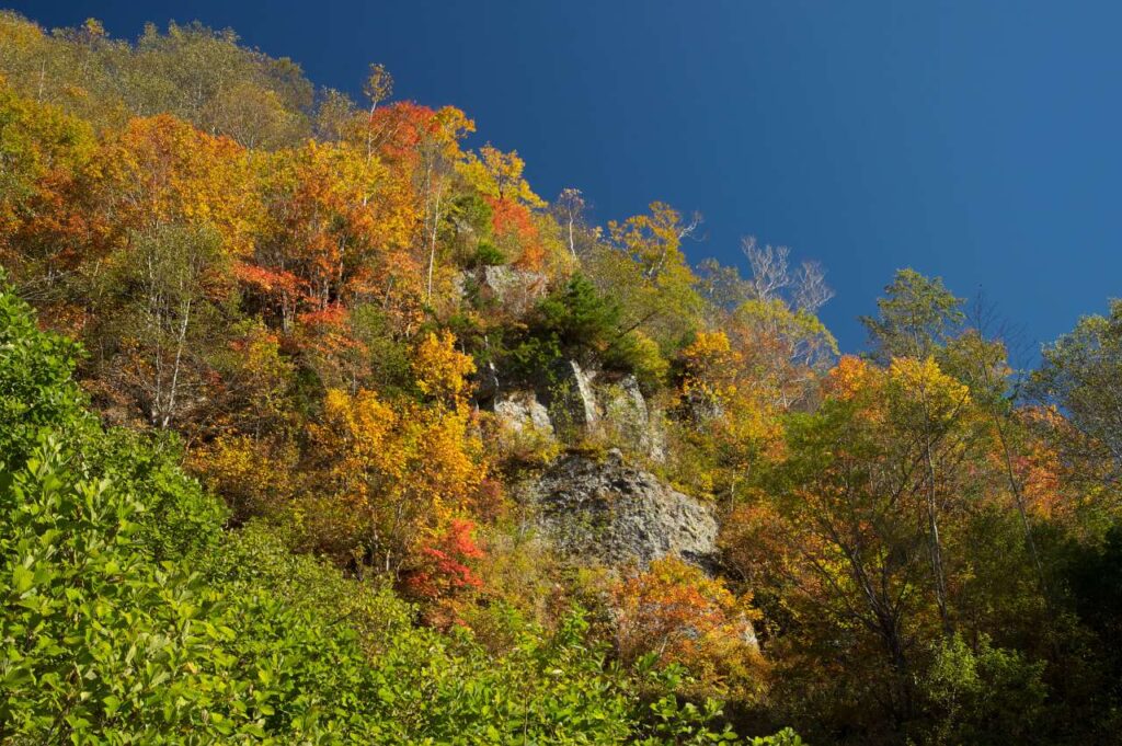 奥志賀～秋山郷の紅葉の写真画像