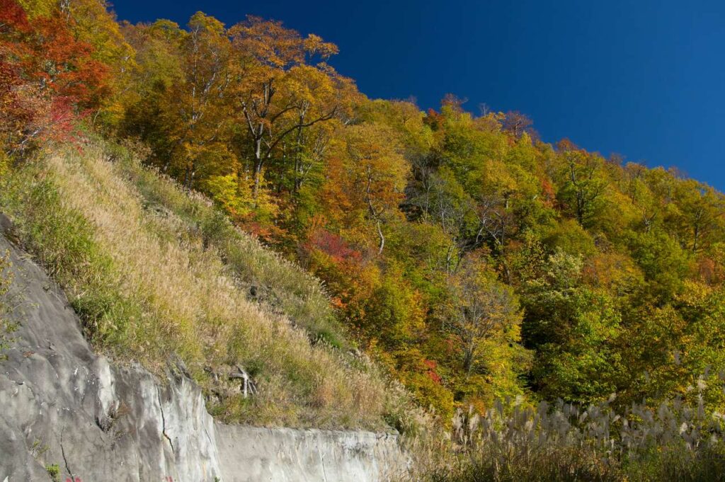 奥志賀～秋山郷の紅葉の写真画像