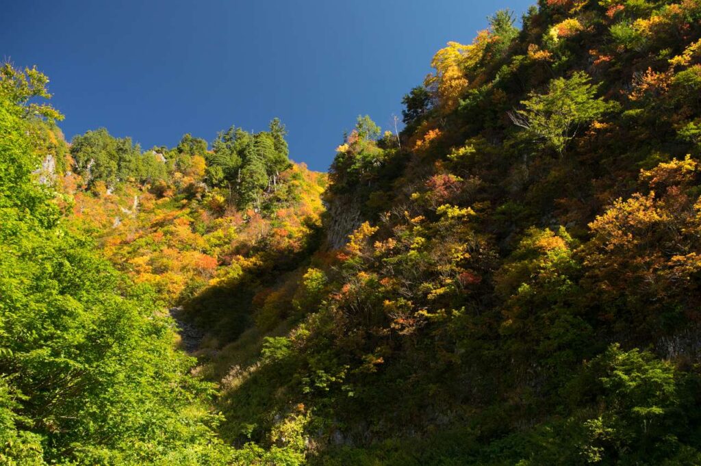 奥志賀～秋山郷の紅葉の写真画像