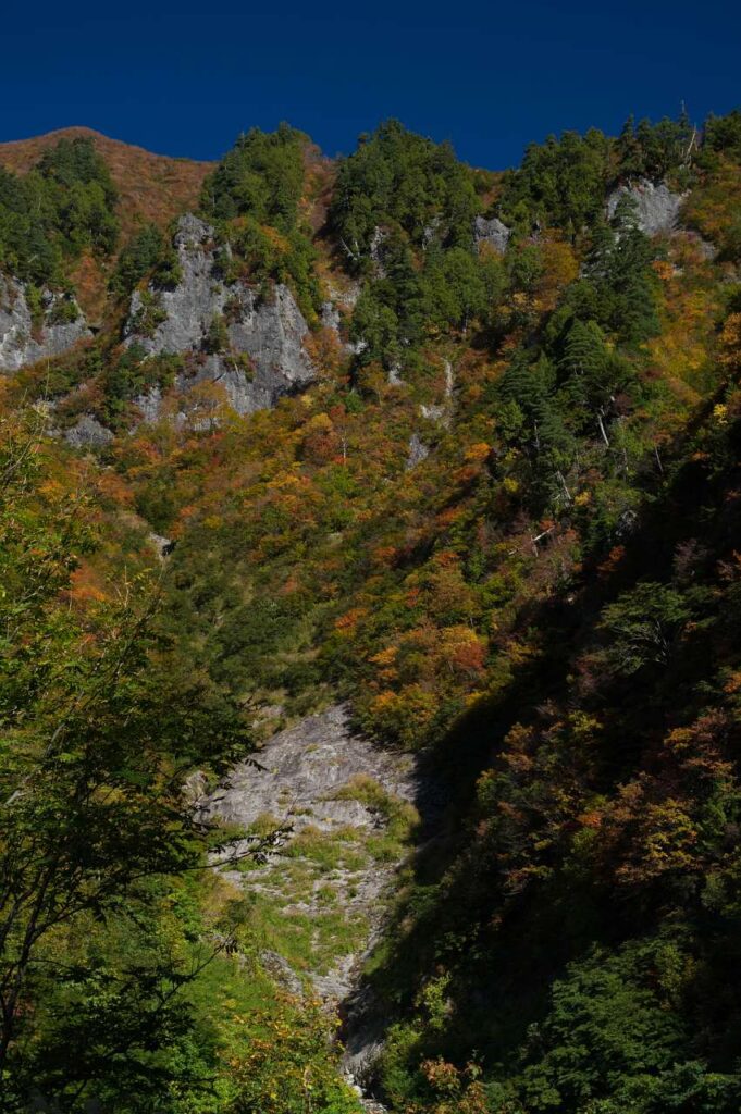 奥志賀～秋山郷の紅葉の写真画像