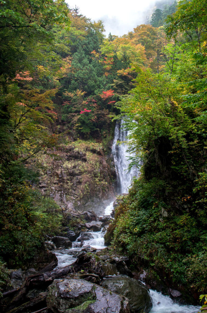 天生峠　中滝の紅葉の写真画像