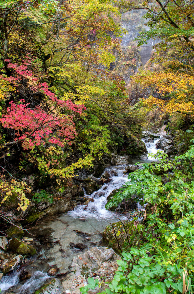 天生峠の渓流と紅葉の写真画像