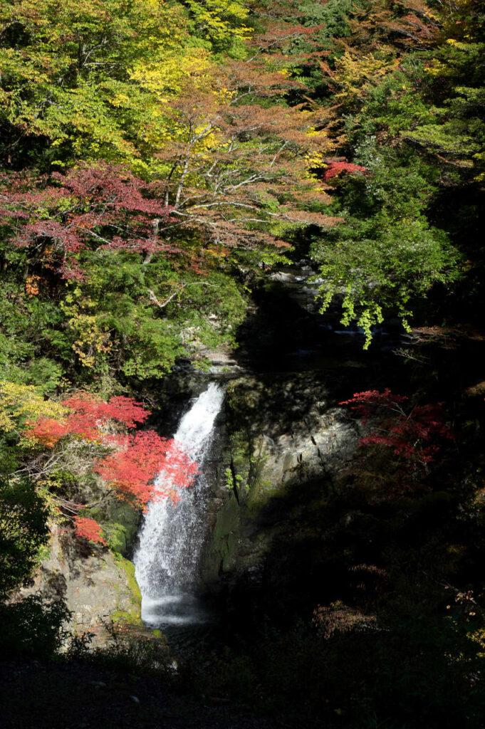 龍神スカイライン、大滝の紅葉の写真画像