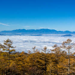 雲海と八千穂高原