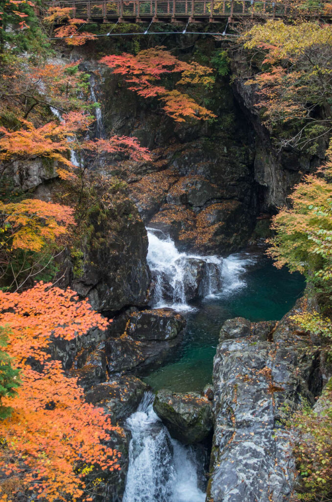 御手洗渓谷の紅葉と滝の写真