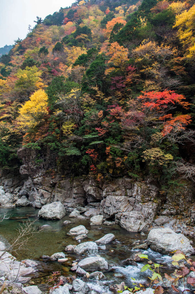 天の川沿いの紅葉の写真