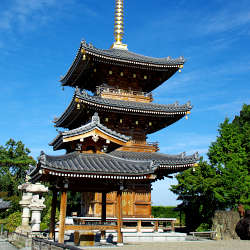 長慶寺の紫陽花