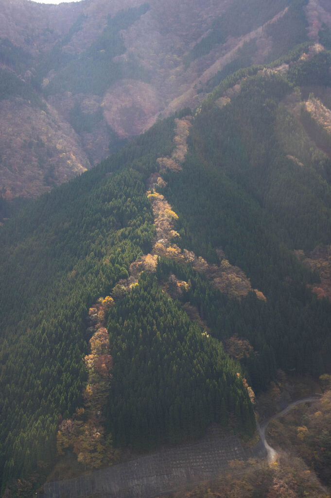 上北山村ナメゴ谷