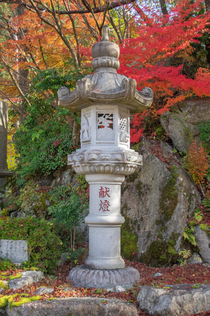 東吉野村・天誅組史跡公園周辺のモミジ