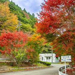 くるみ谷もみじ公園