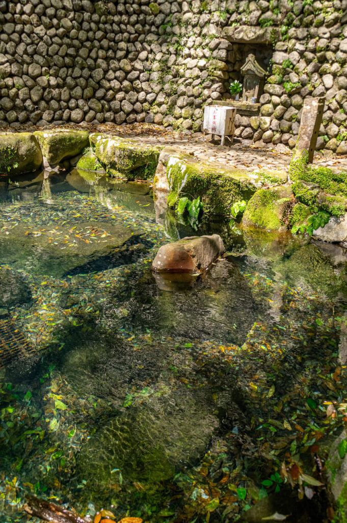 野中の清水