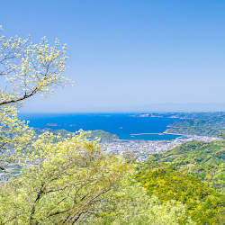 湯浅町山田山