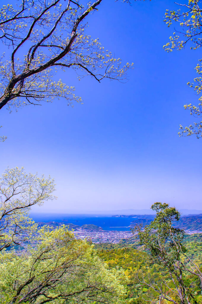 湯浅町山田山