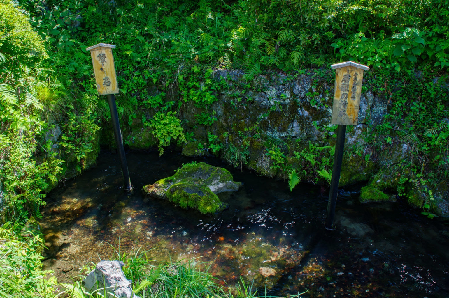 中山道 醒井宿　「居醒の清水」