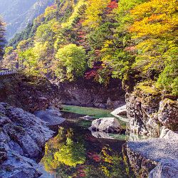 奈良県天の川の紅葉