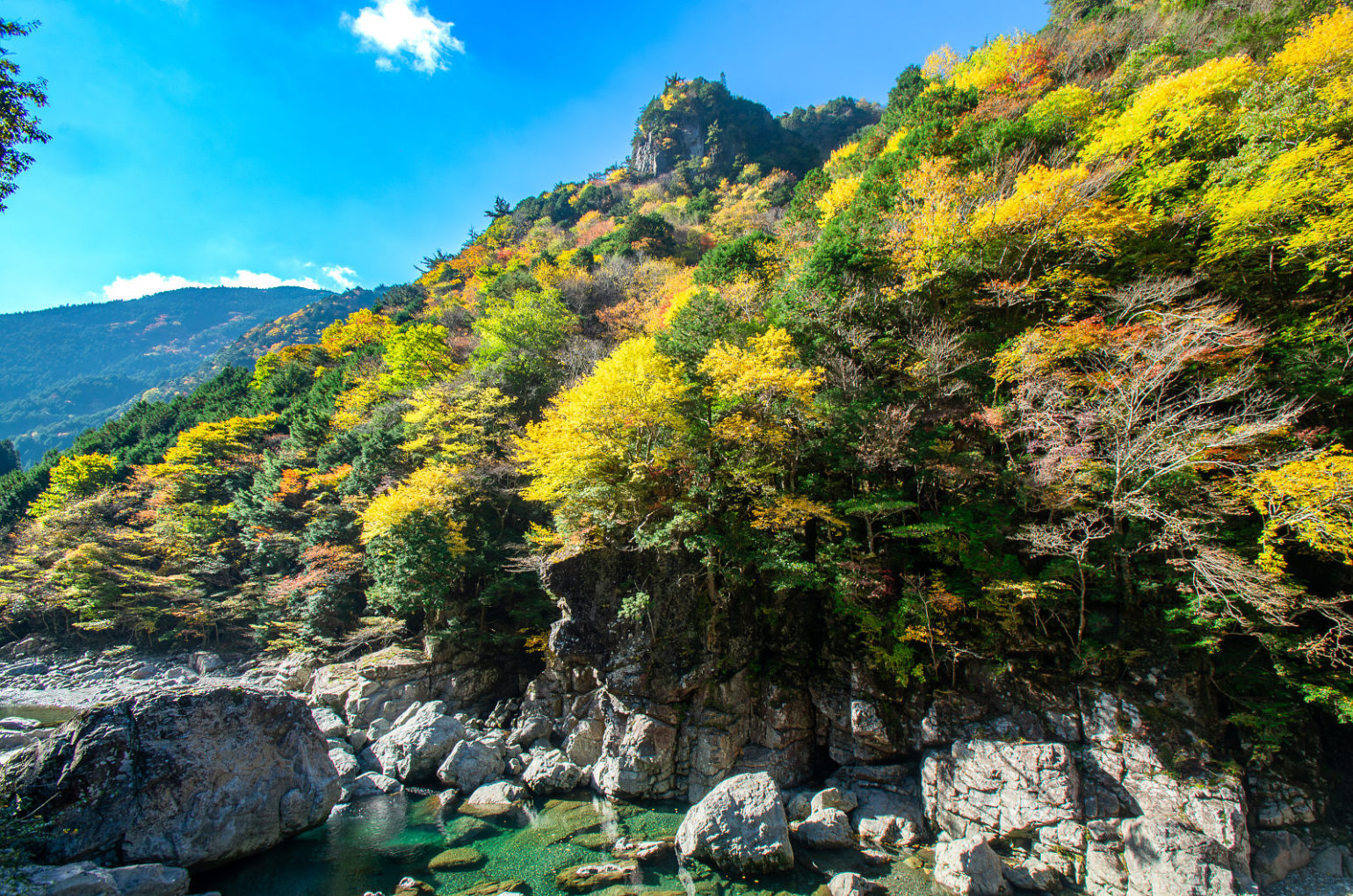 奈良県天の川の紅葉