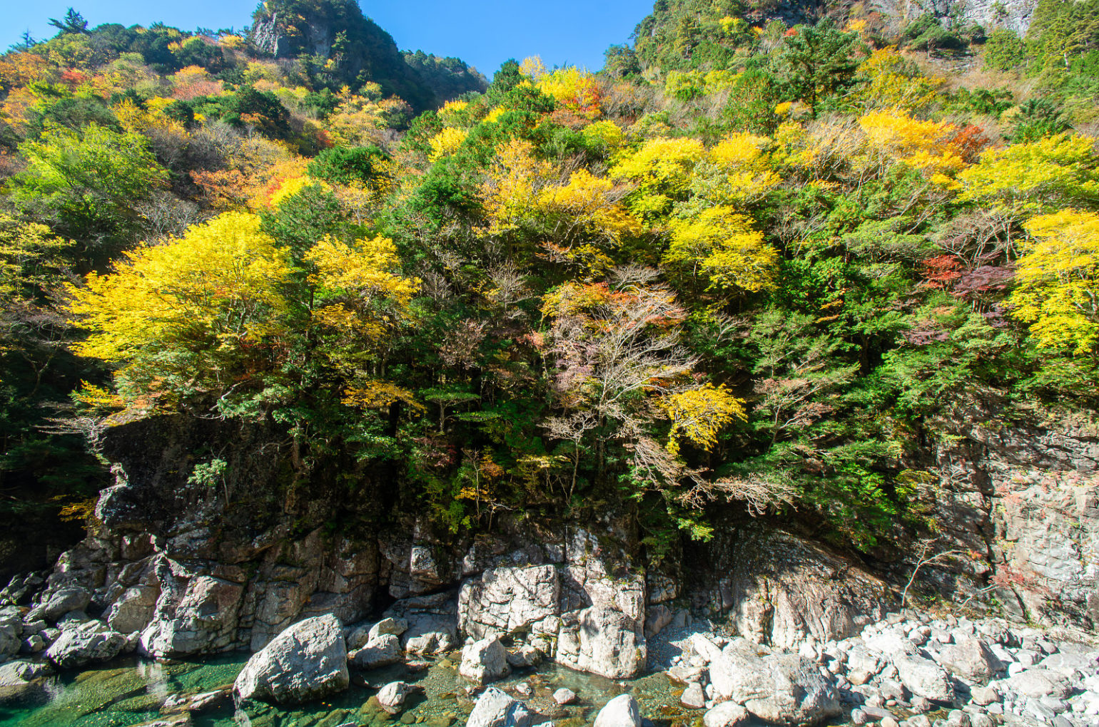 奈良県天の川の紅葉