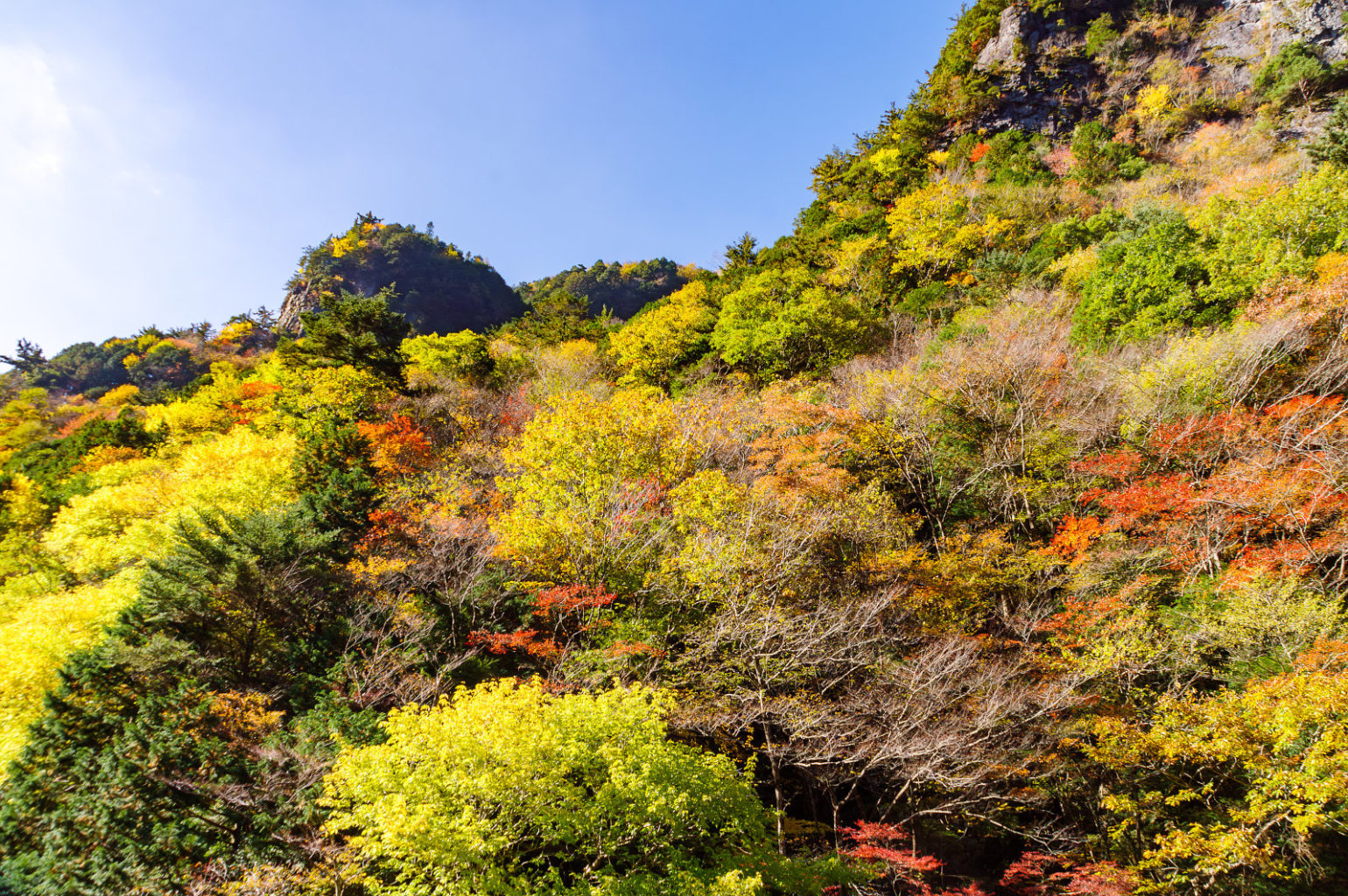 奈良県天の川の紅葉