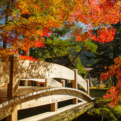 天川村　洞川　龍泉寺の紅葉