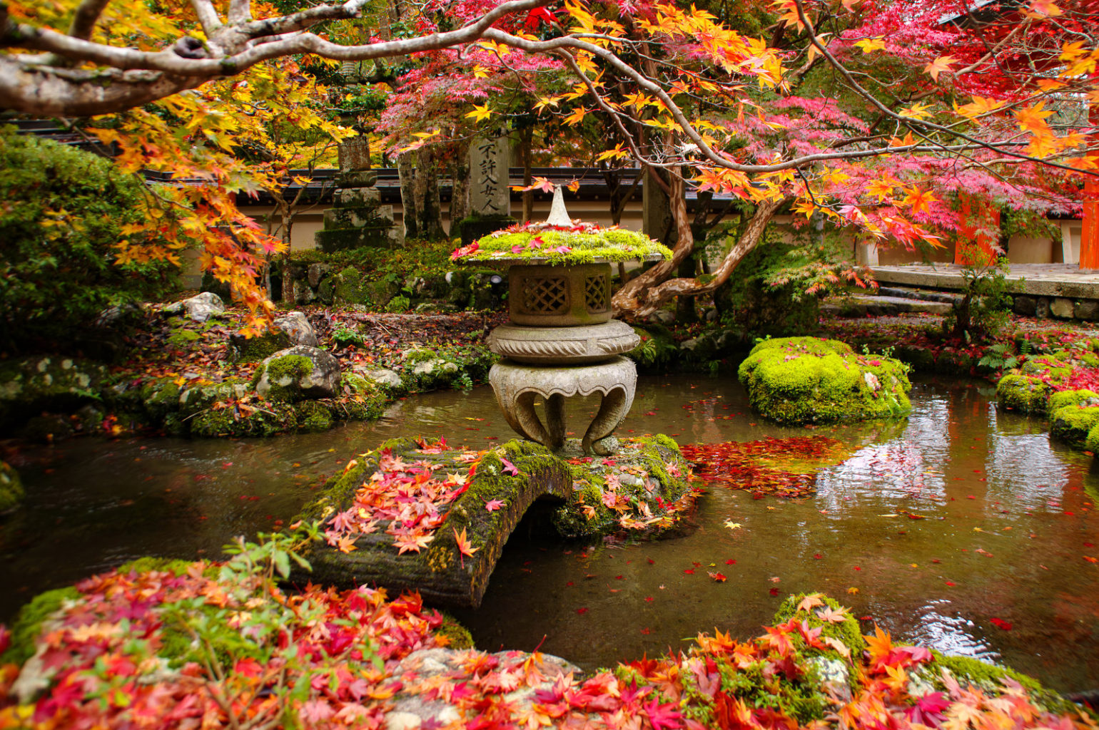 天川村　洞川　龍泉寺の紅葉