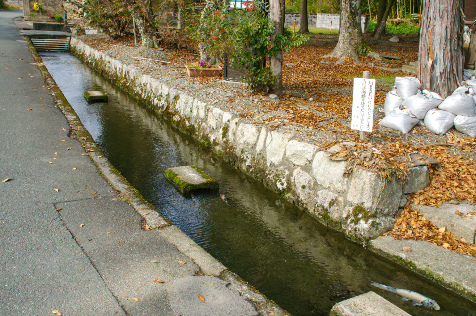 秋の琵琶湖の風景　2024