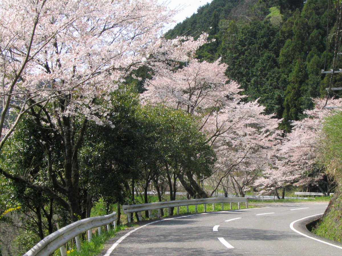 有田川・二川湖畔